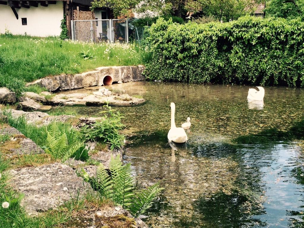 Gasthof Zum Bad Langenau Dış mekan fotoğraf